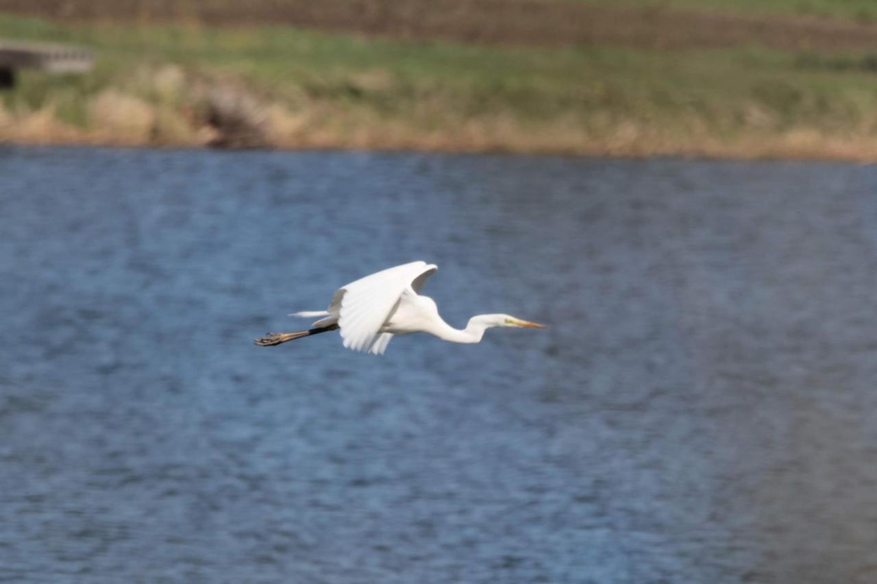 Nature Center Udoli Volavek II Bezdruzice Екстер'єр фото